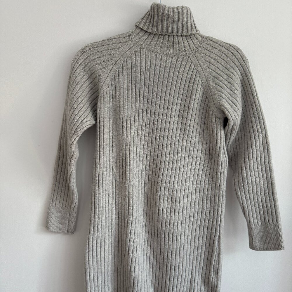 Aritzia Merino Wool Dress
